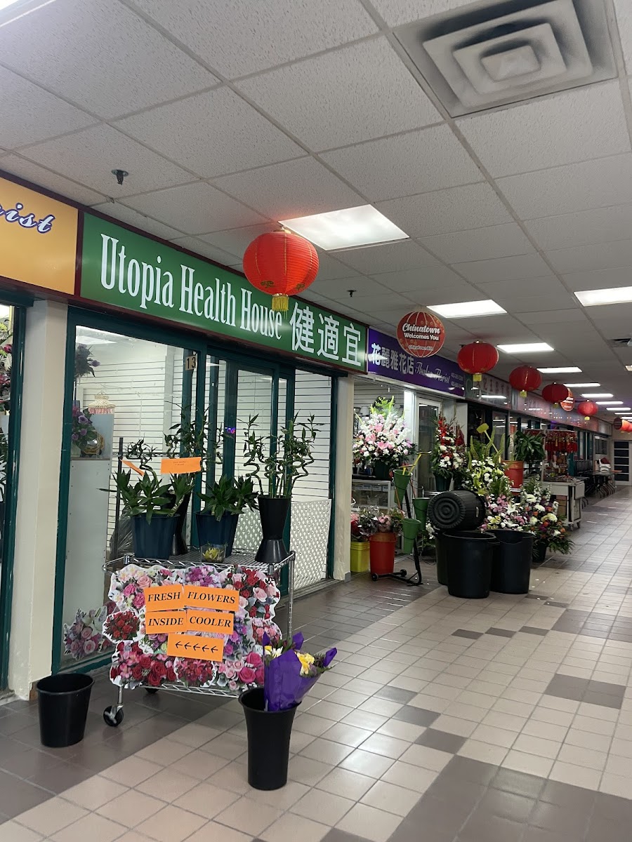 Pho Hoai